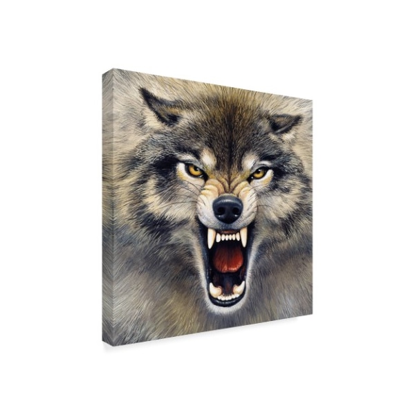 Harro Maass 'Wolf Roaring' Canvas Art,14x14